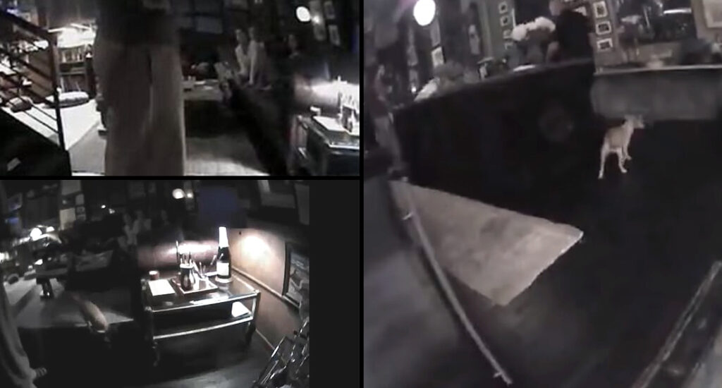Amber Heard police body cam footage